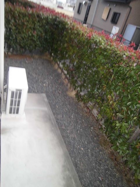 Garden. I'm glad spacious private garden.