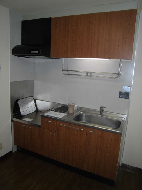 Kitchen. I like the spread of the kitchen.