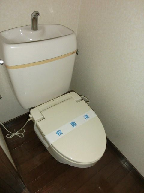Toilet. Western style