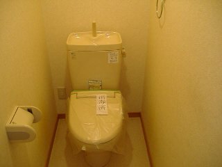 Toilet. Spacious toilet. 