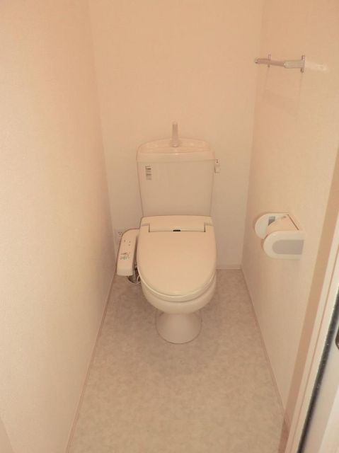 Toilet. Clean Western-style toilet. Shower with toilet seat. 