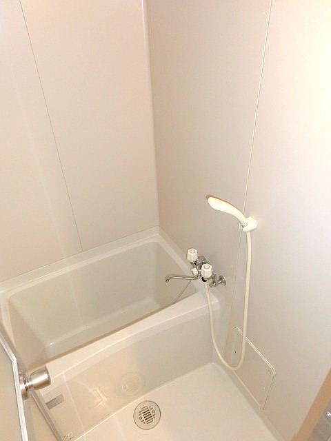 Bath. Bathroom is equipped with shower