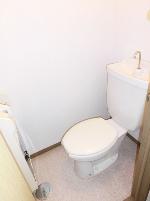 Toilet. Toilet floating cleanliness. 