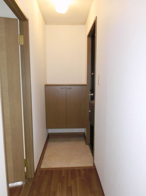 Entrance. It can be stored a lot of favorite shoes at the door with a shoebox. 