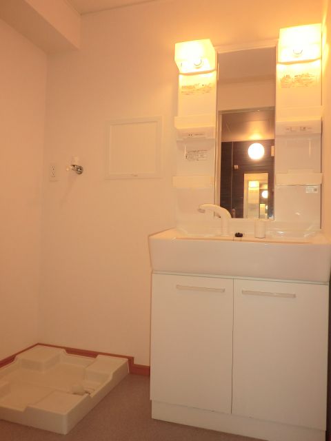 Washroom. Shampoo can also you in Vanity.