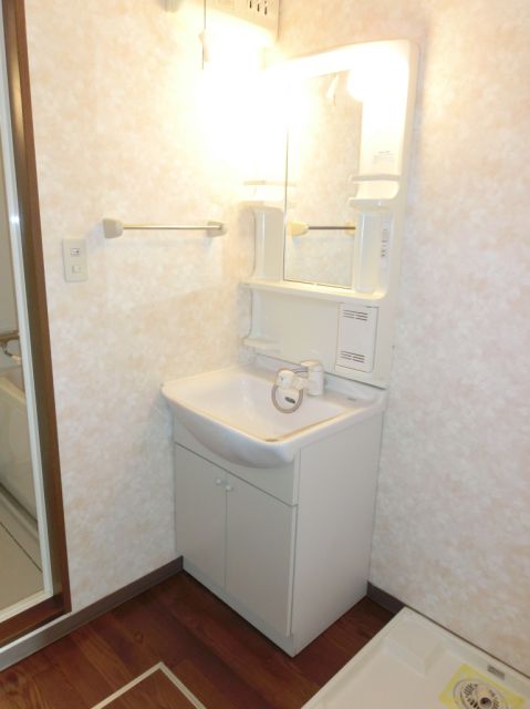 Washroom. Convenient vanity to life