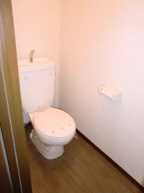 Toilet. Spacious spread of toilet