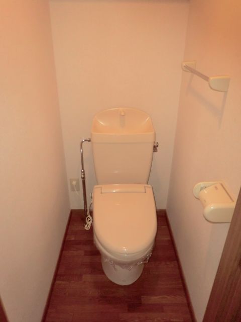 Toilet. It toilet is also beautiful.