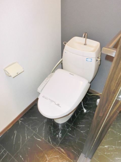 Toilet. It is with a comfortable warm water washing toilet seat.