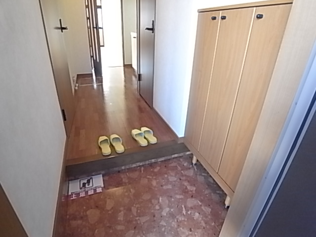 Entrance. There is storage cupboard!