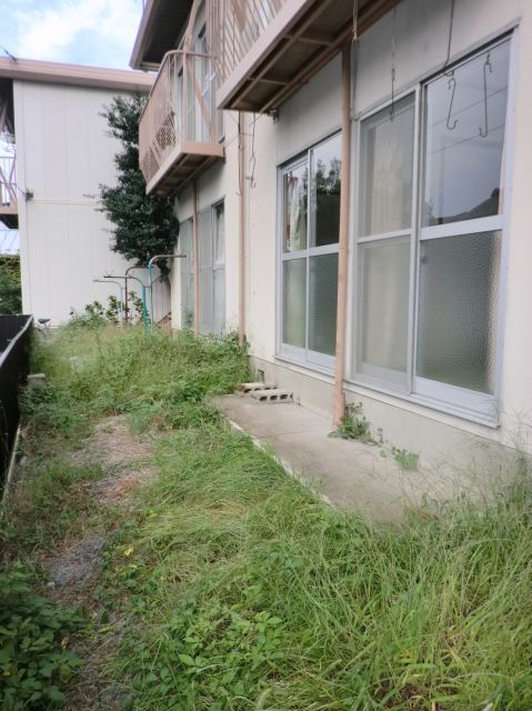 Garden. Garden with a sense of openness.