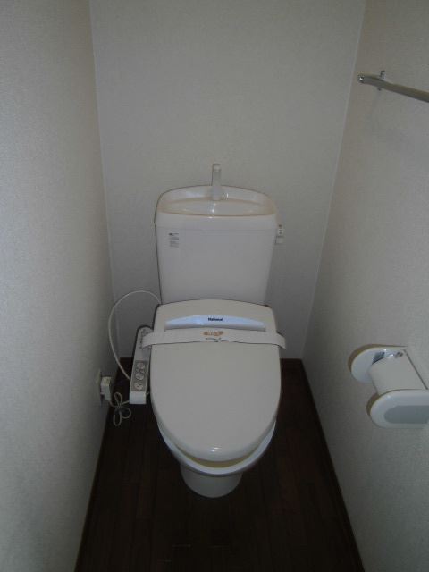 Toilet. I like the hot-water cleaning toilet seat.