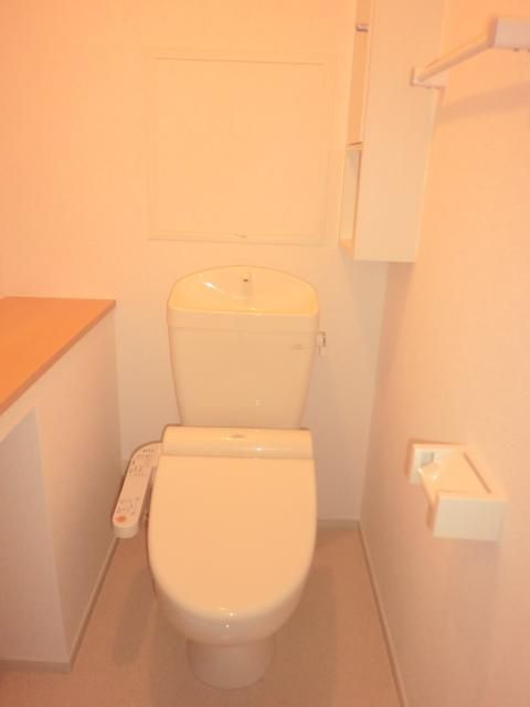 Toilet. It is a toilet with a clean. 