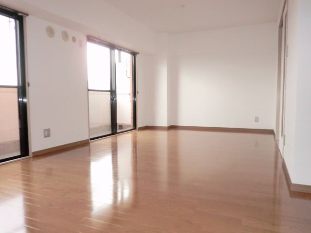 Living and room. Sunny south side of the room. 