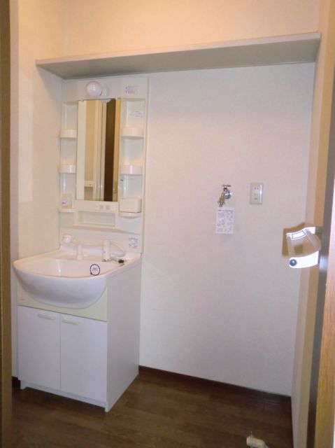 Washroom. Convenient vanity to life.