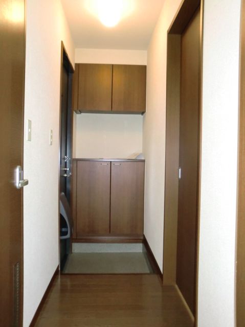 Entrance. Entrance space of the cupboard installation.