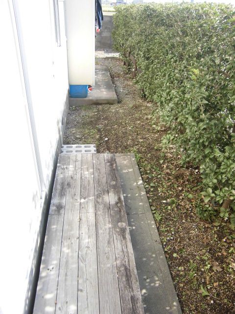 Garden. It is the state of the garden. 