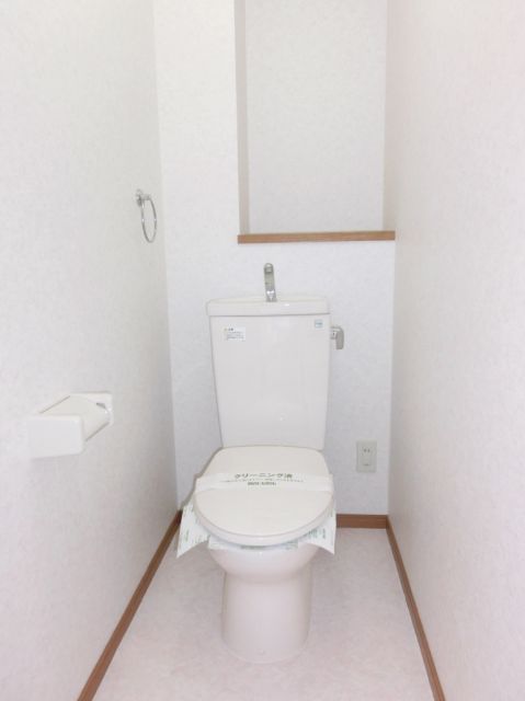 Toilet. Toilet floating cleanliness.