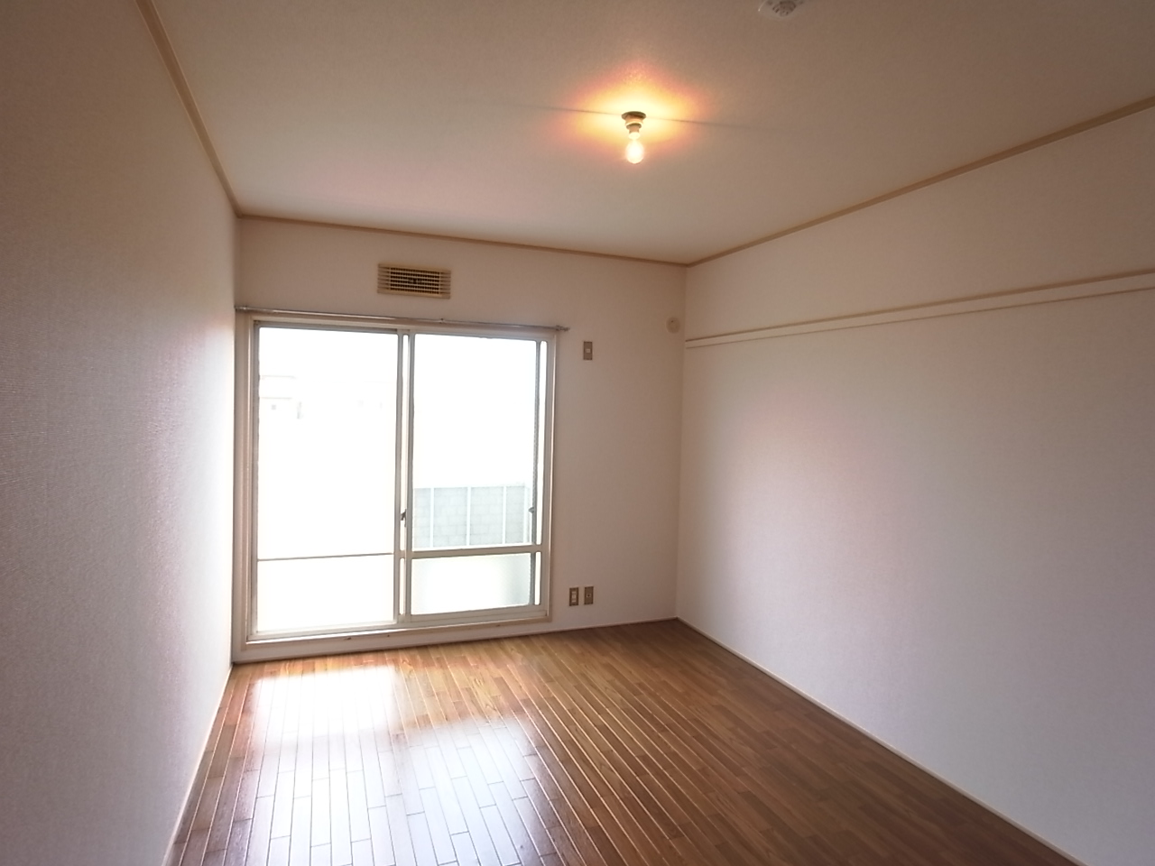 Living and room. South-facing a so bright ^^