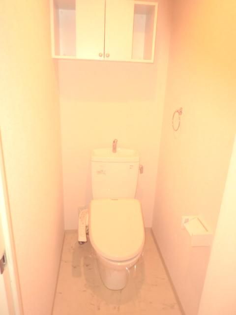 Toilet. It toilet is also beautiful.