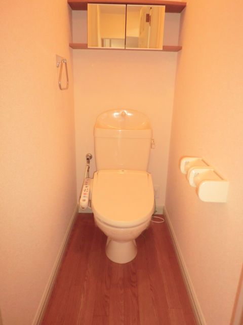 Toilet. It toilet is also beautiful. 