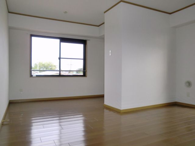 Living and room. Bright rooms with two faces lighting. 