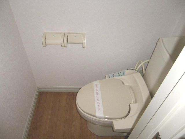 Toilet. It toilet is also beautiful.