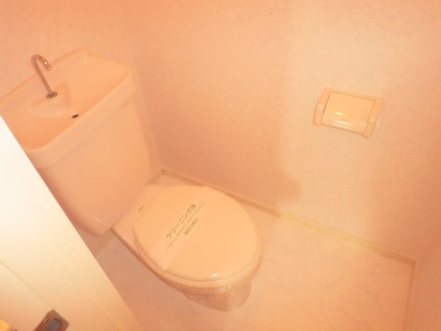 Toilet. It is a toilet with a clean.