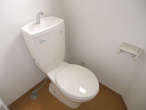 Toilet. It is a clean toilet. 