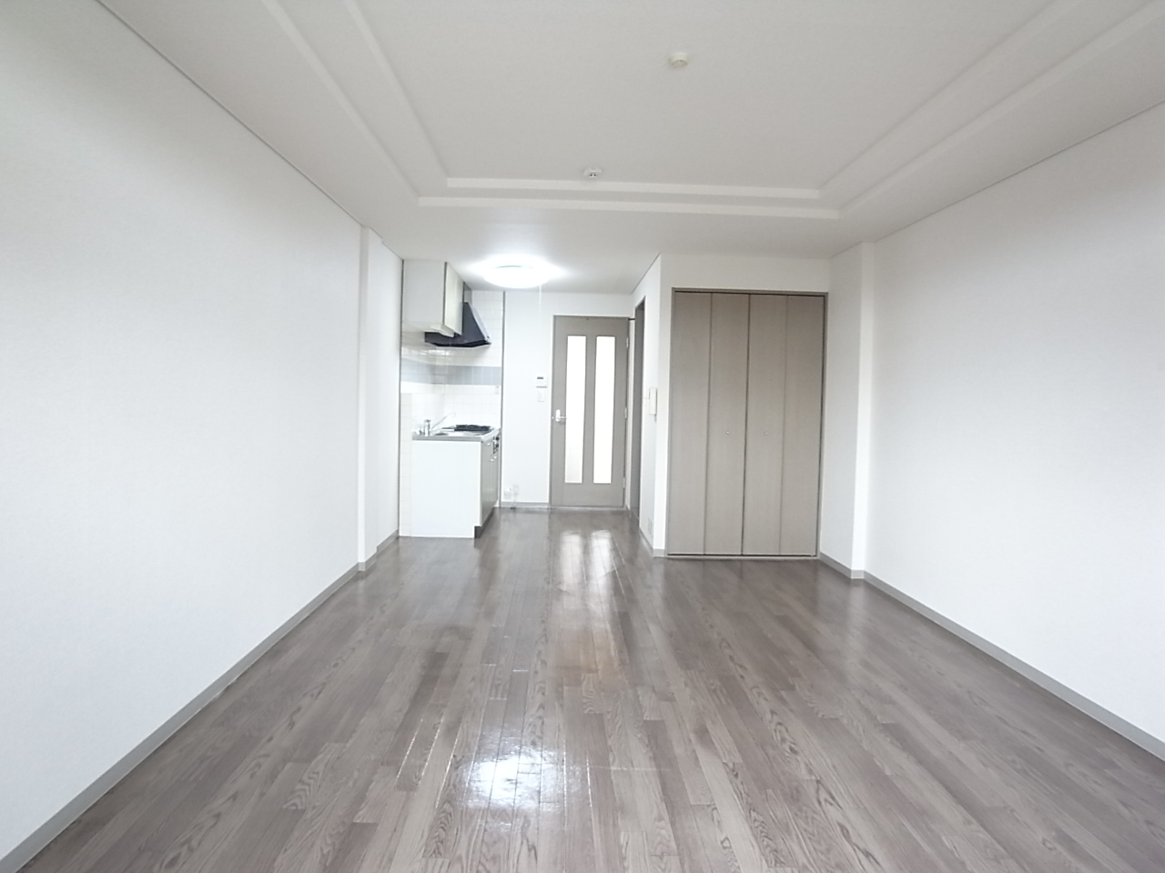 Living and room. Very wide space