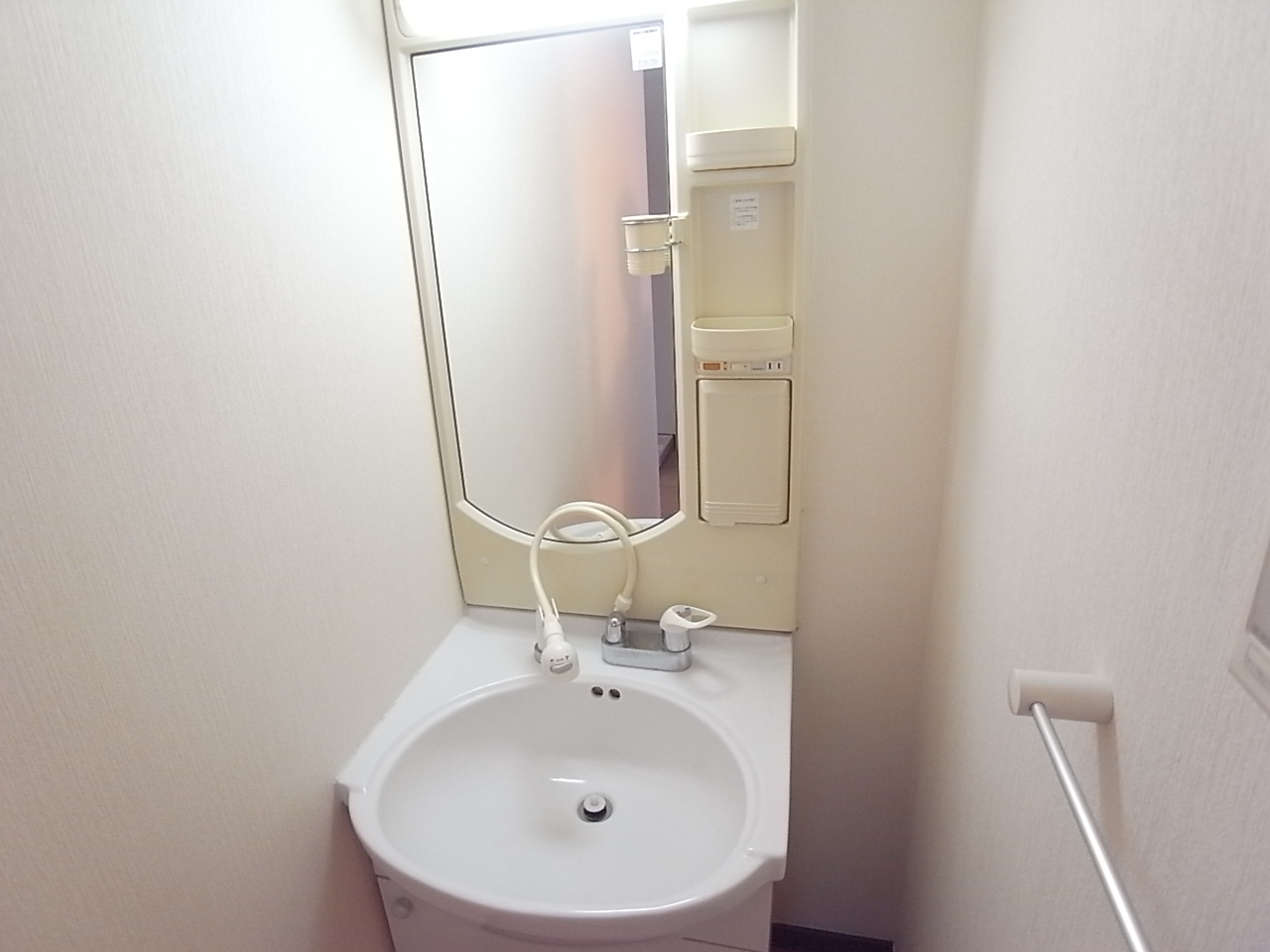 Washroom. Independent wash basin with a shower is easy to use anyway!