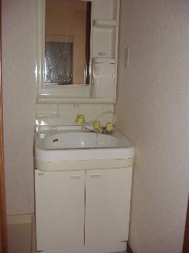 Washroom. Bathroom Vanity