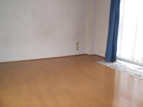 Living and room. Western style room