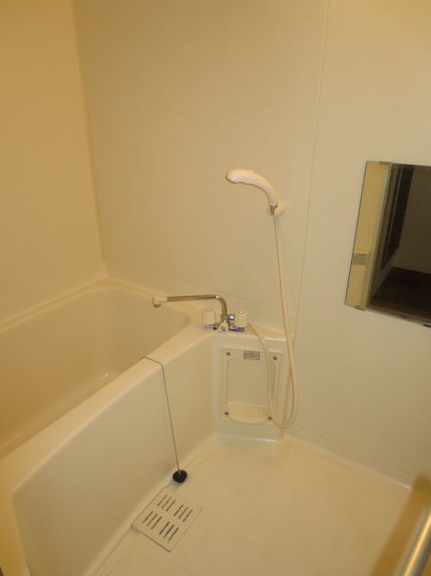 Bath. There cleanliness bathroom