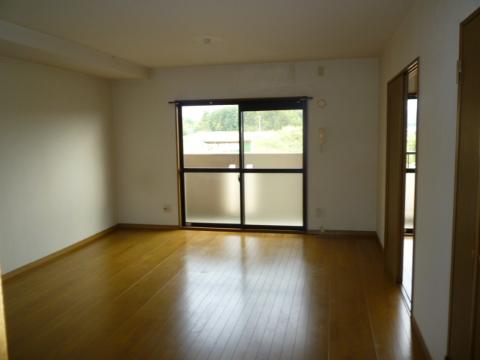 Living and room. Living