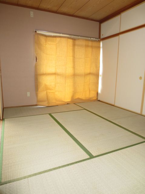 Living and room. South Japanese-style room
