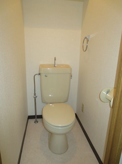 Toilet. Western water