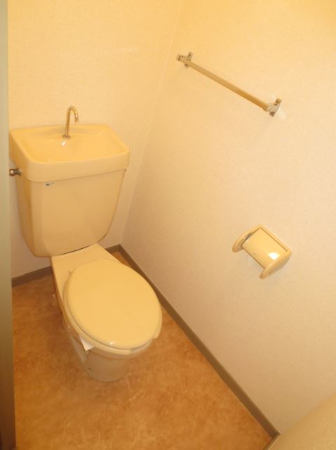 Toilet. Toilet