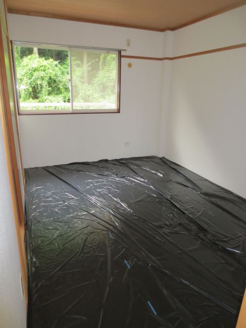 Living and room. Japanese style room