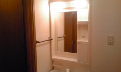 Washroom. Bathroom vanity