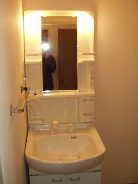 Washroom. Bathroom Vanity