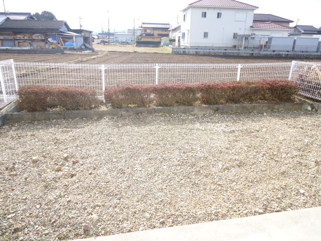 Garden. Garden