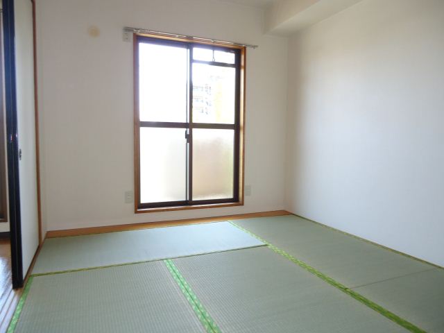 Living and room. Sunny