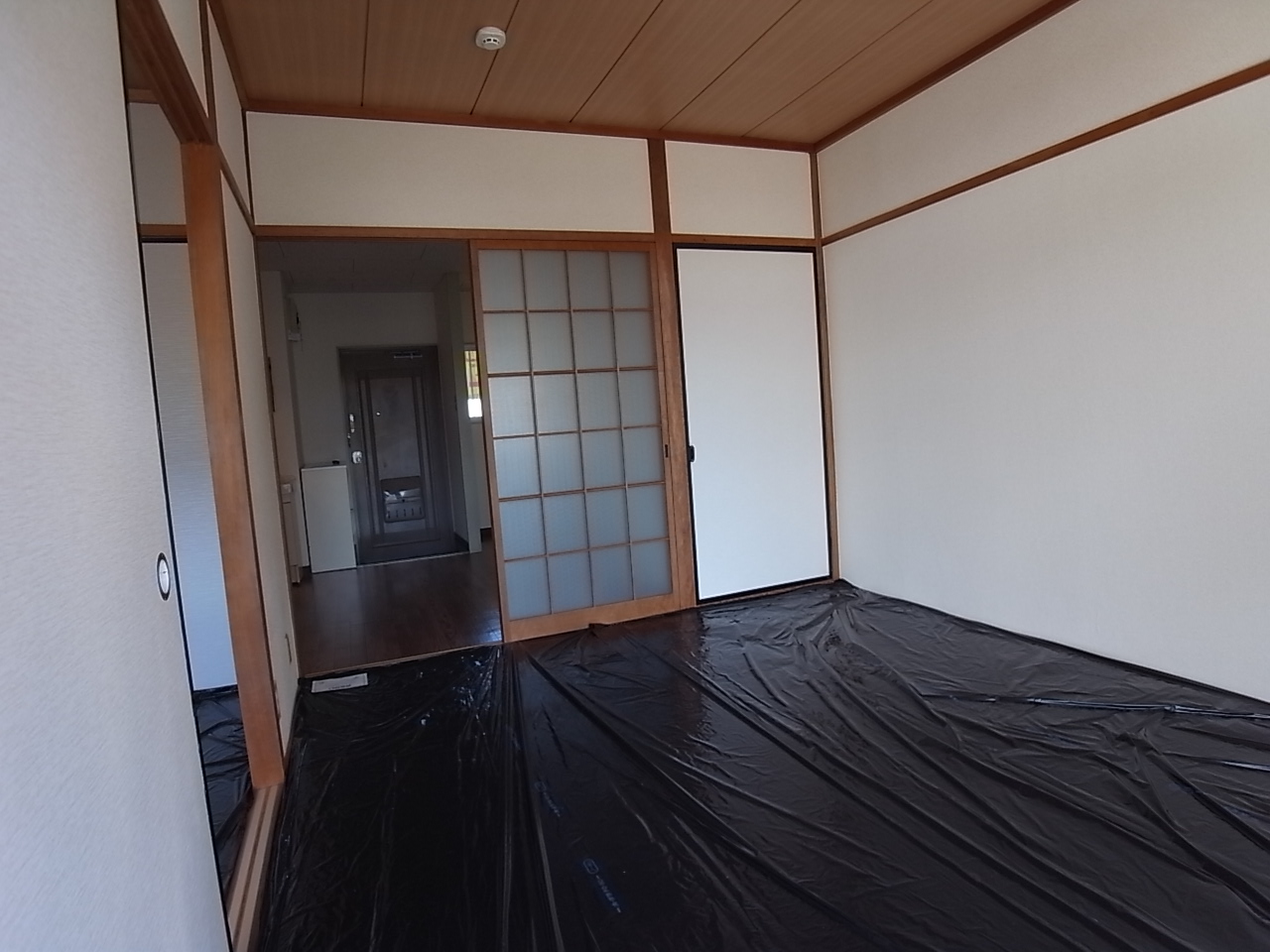 Living and room