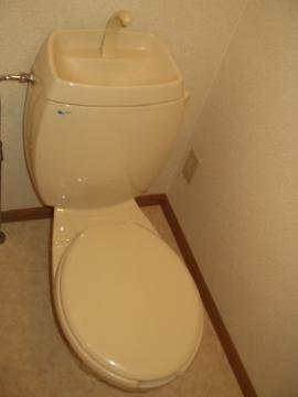 Toilet. WC