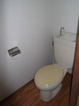 Toilet. WC