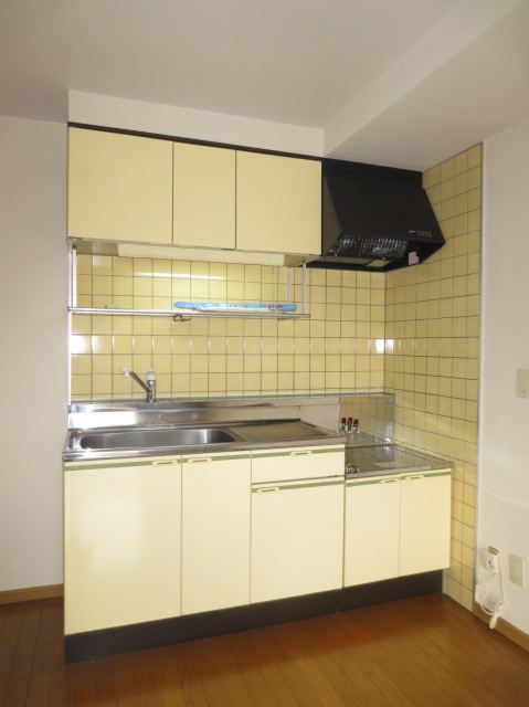Kitchen. Gas stove installation Allowed