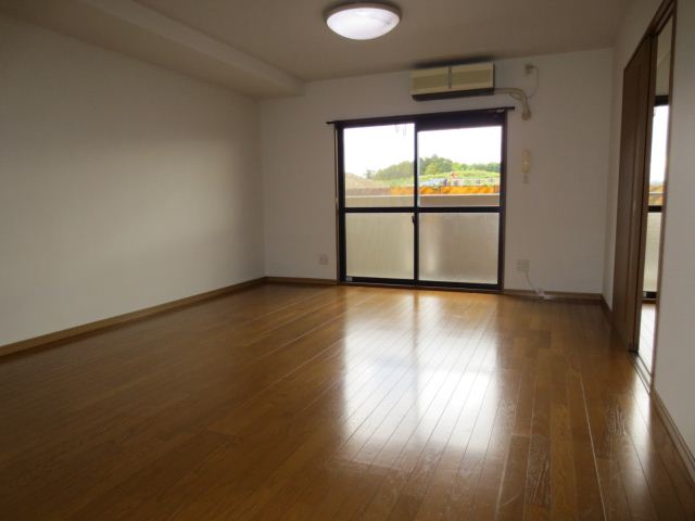Living and room. Air conditioning