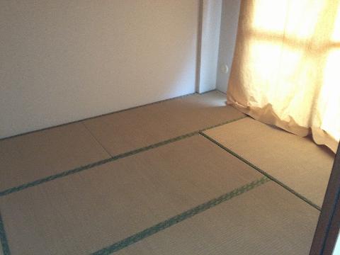 Living and room. Japanese style room