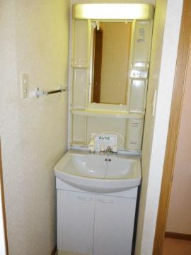 Washroom. Bathroom Vanity